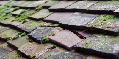 Cefn Y Pant roof repair costs